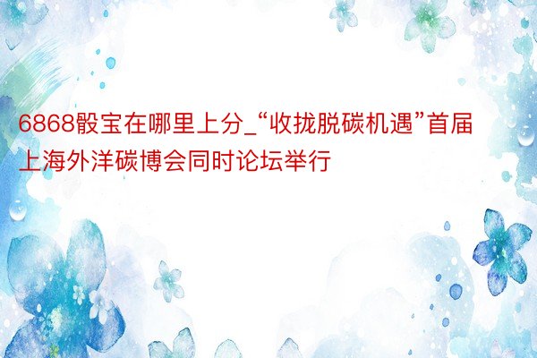 6868骰宝在哪里上分_“收拢脱碳机遇”首届上海外洋碳博会同时论坛举行